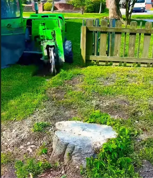 Tree stump removal in progress in Virginia Beach VA